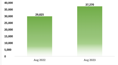 August Auto Sale Report